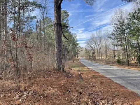 217+ Acres of Vacant Land