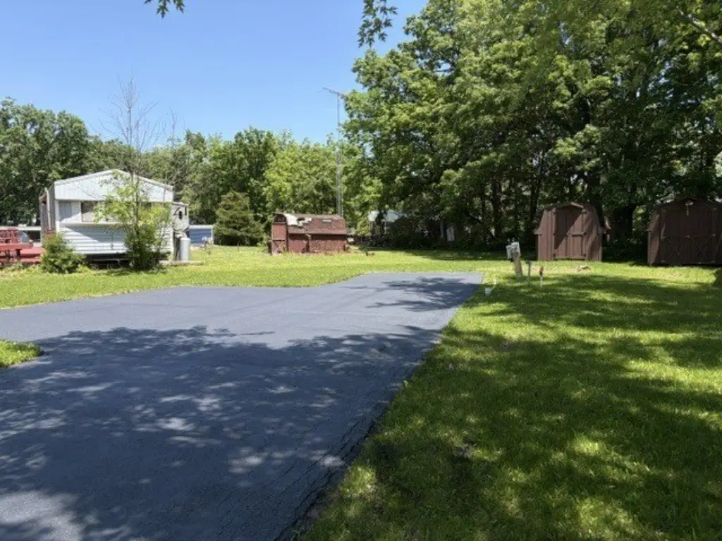 Picture 5