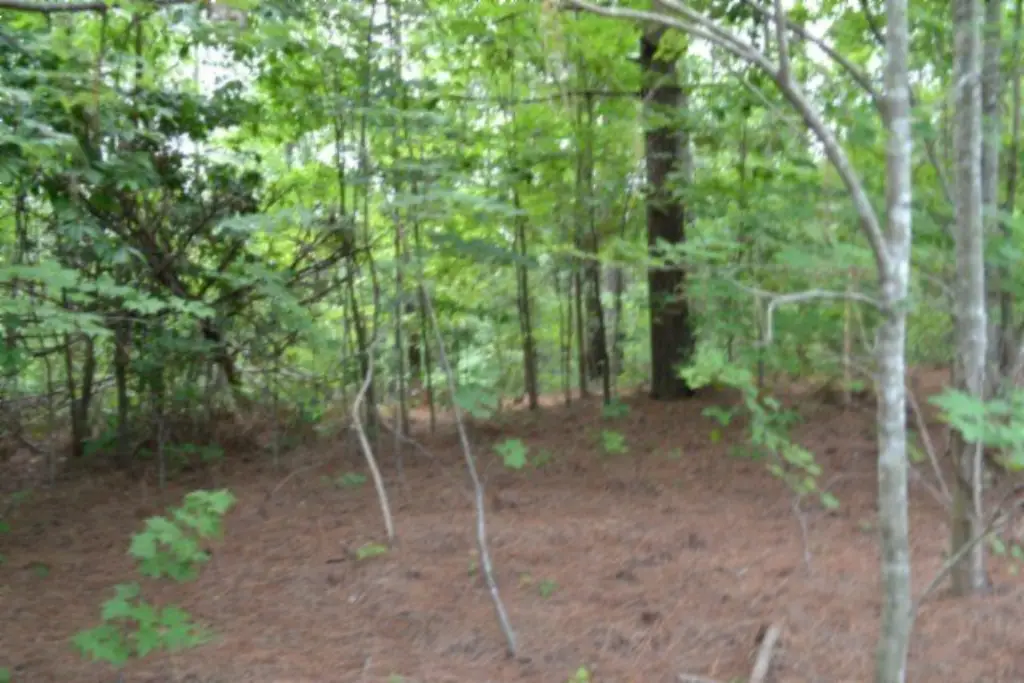 Picture 20