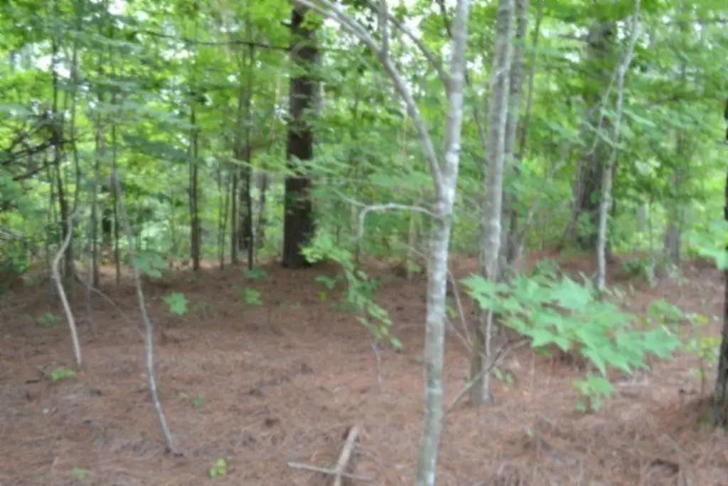 Picture 23