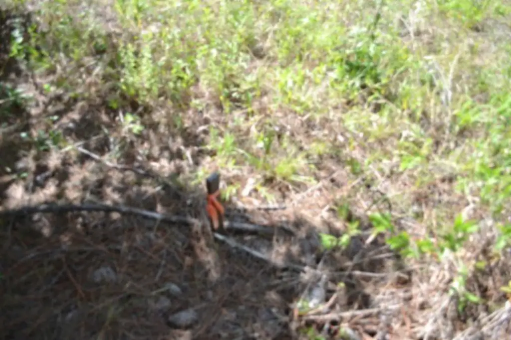 Picture 6