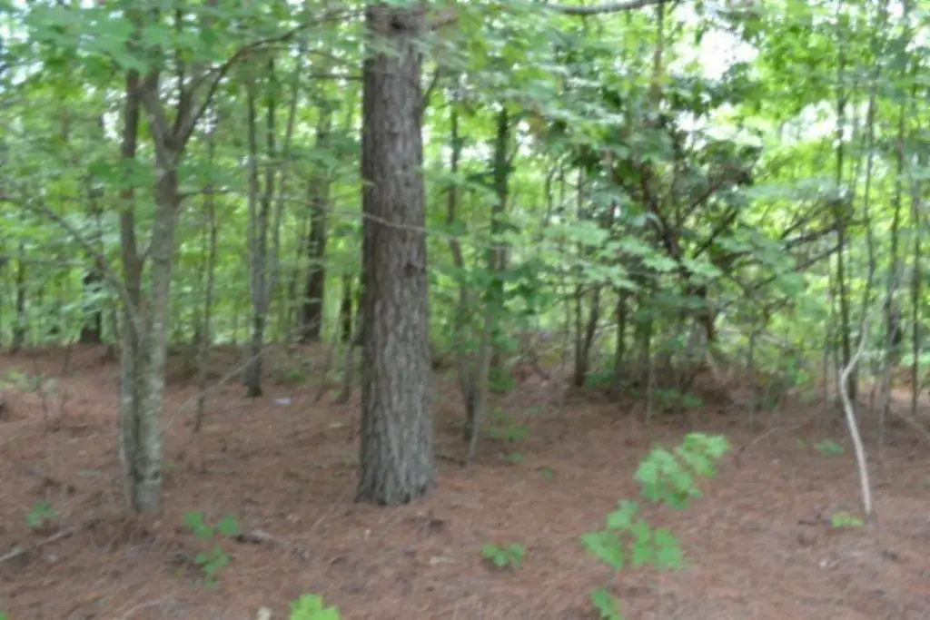 Picture 22
