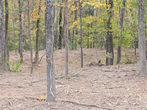 Wooded Lot in Timberline