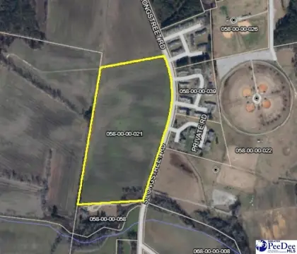 Dillon County Land Parcel