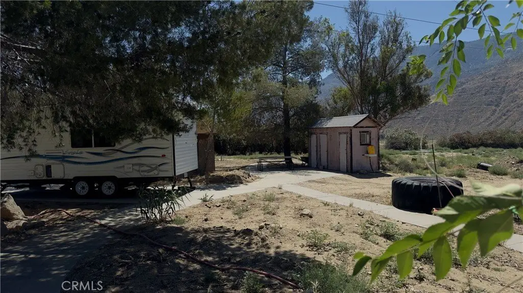 Picture 8
