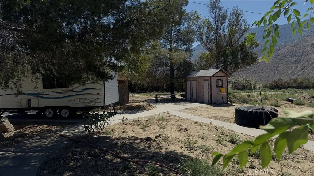 Picture 8