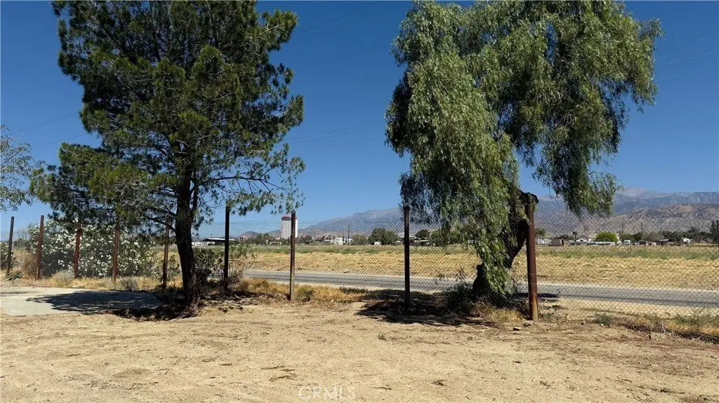 Picture 15