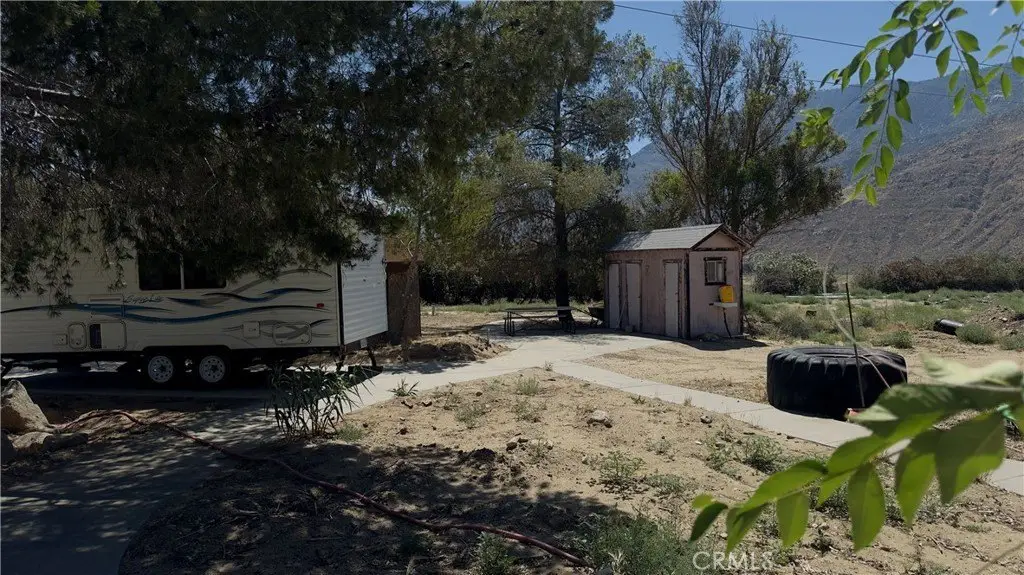 Picture 8