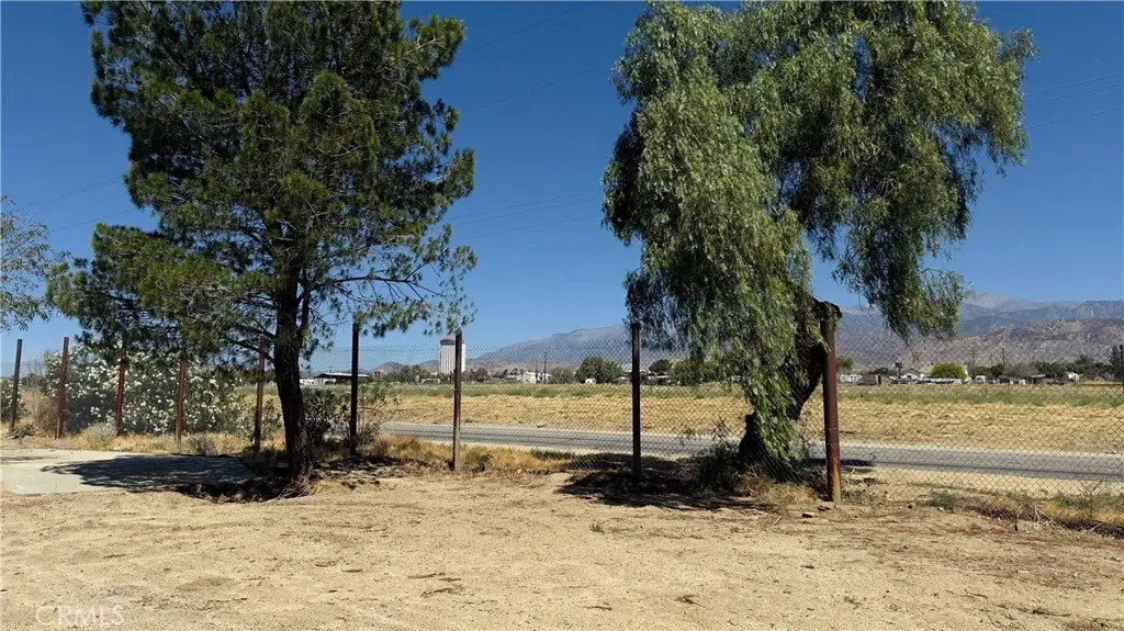 Picture 15