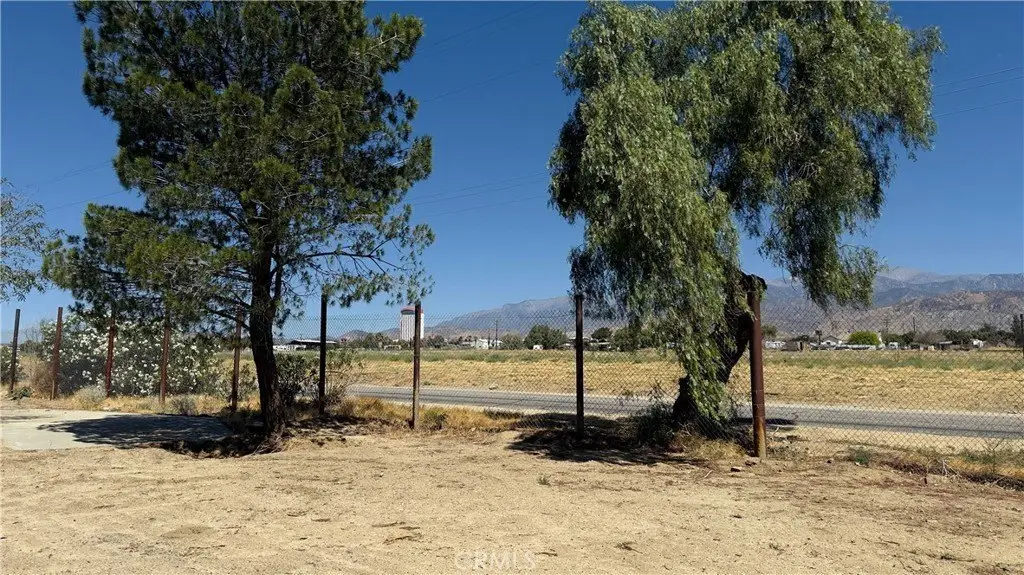 Picture 15