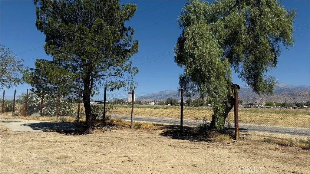 Picture 14