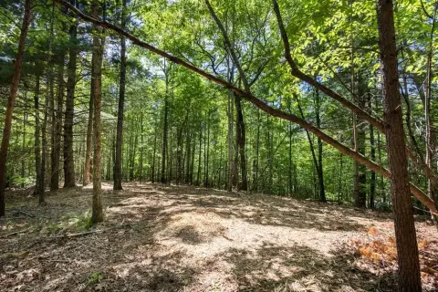 Unrestricted Land in Murphy, NC
