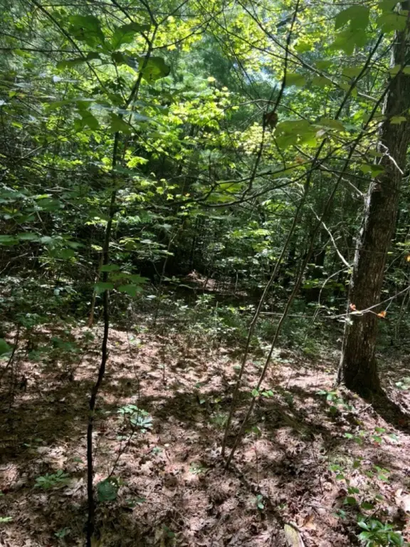 Picture 12