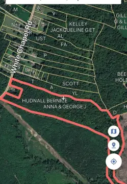 Lively, VA Land For Sale