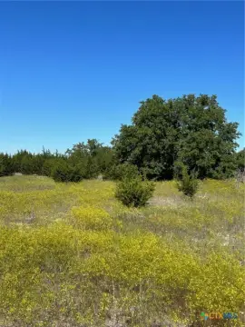Land in Gatesville, Texas