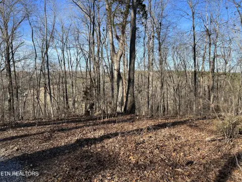 Unrestricted Land in Loudon, TN