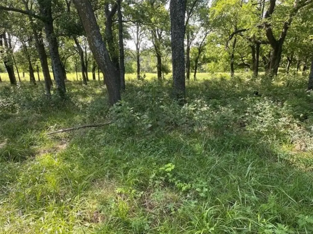 Picture 7