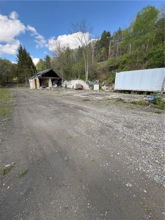 Picture 5