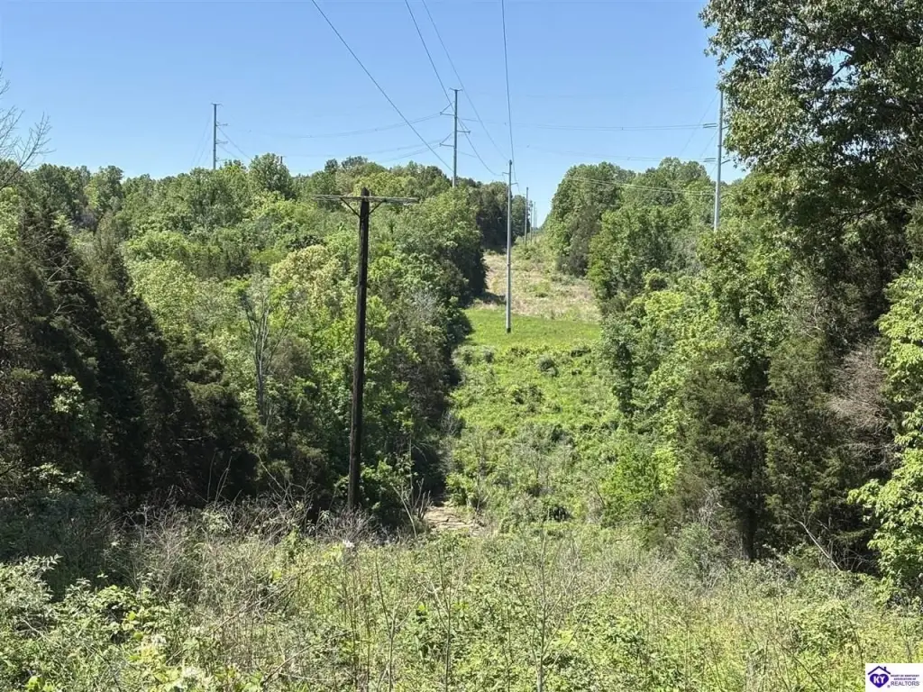 Picture 28