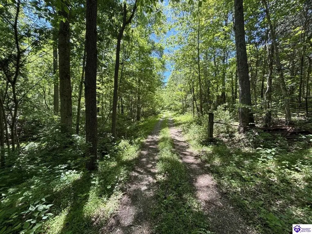 Picture 45