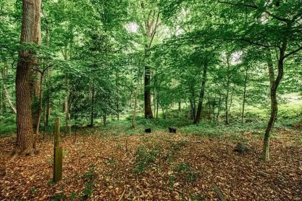 Picture 7