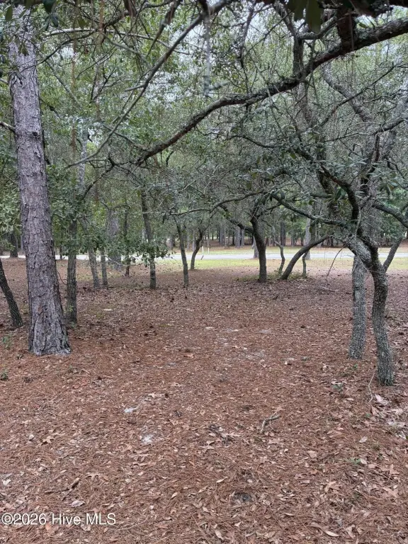 Picture 5
