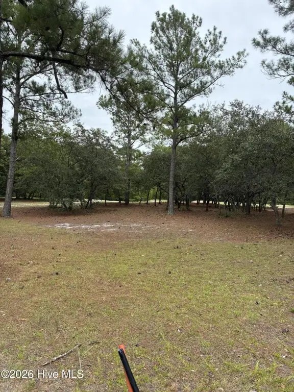 Picture 12