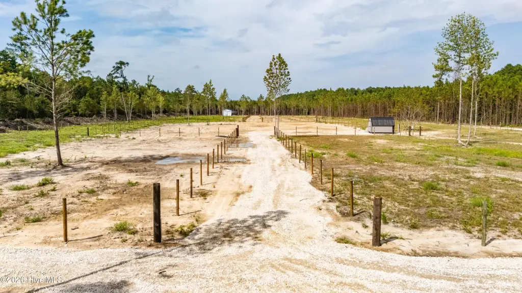 Picture 3