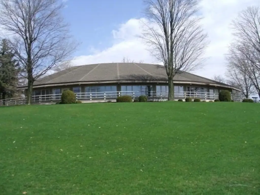 Picture 8