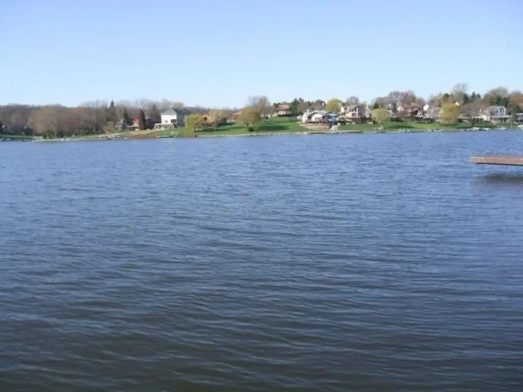 Picture 4
