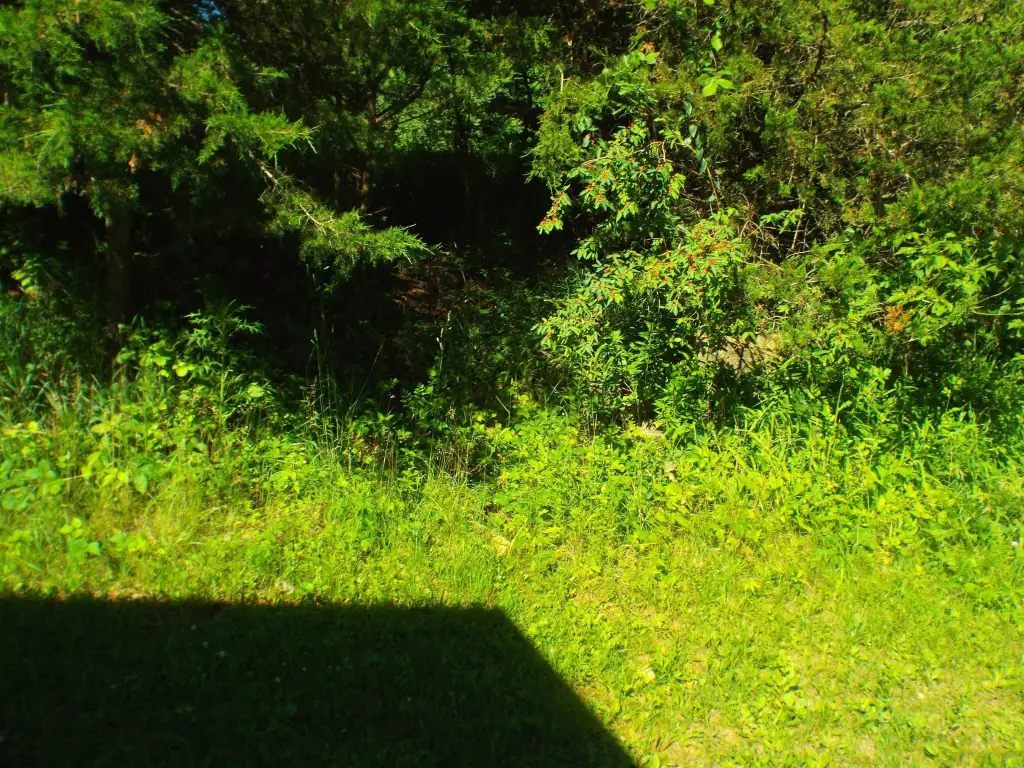 Picture 20