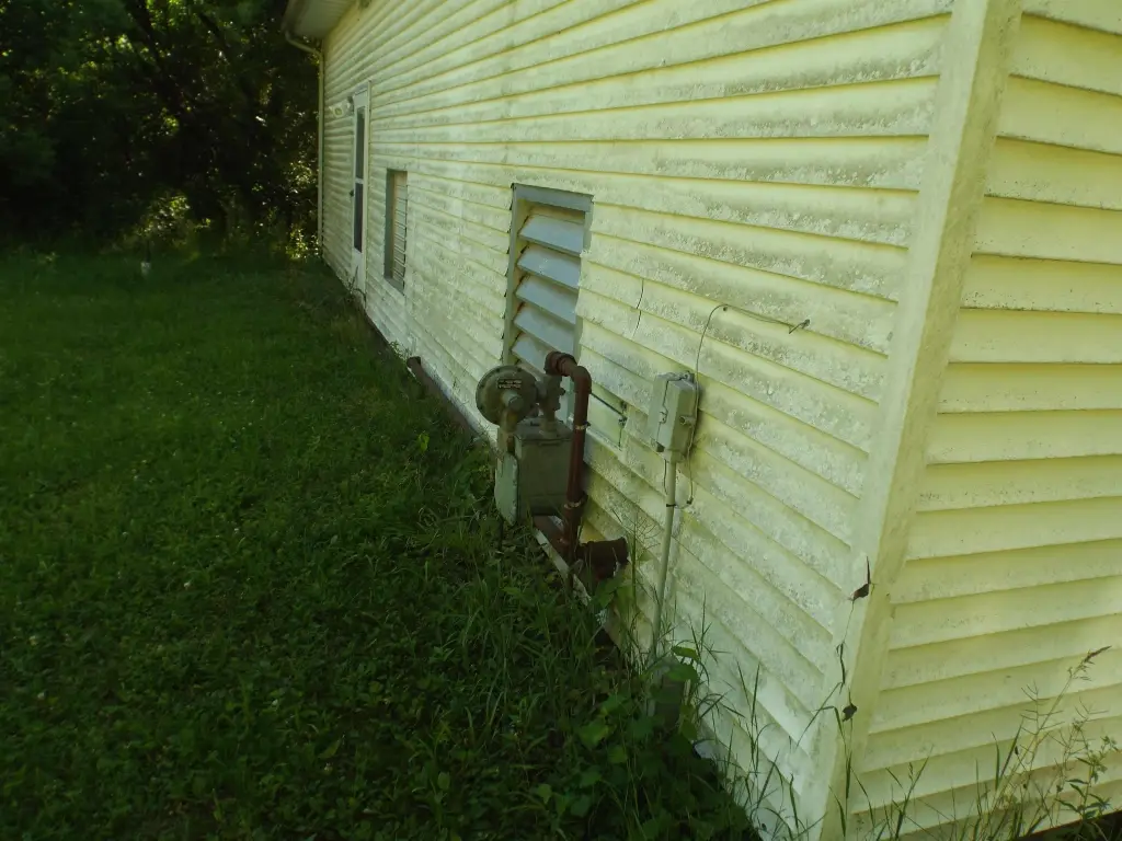 Picture 14