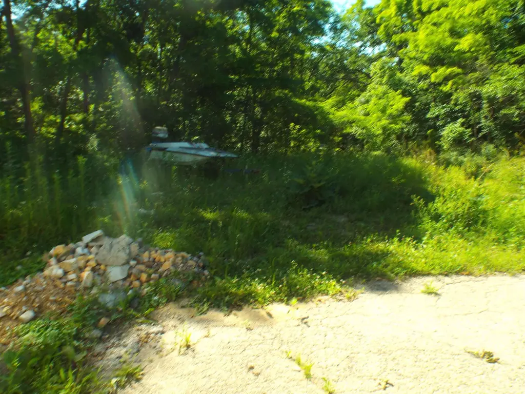 Picture 19