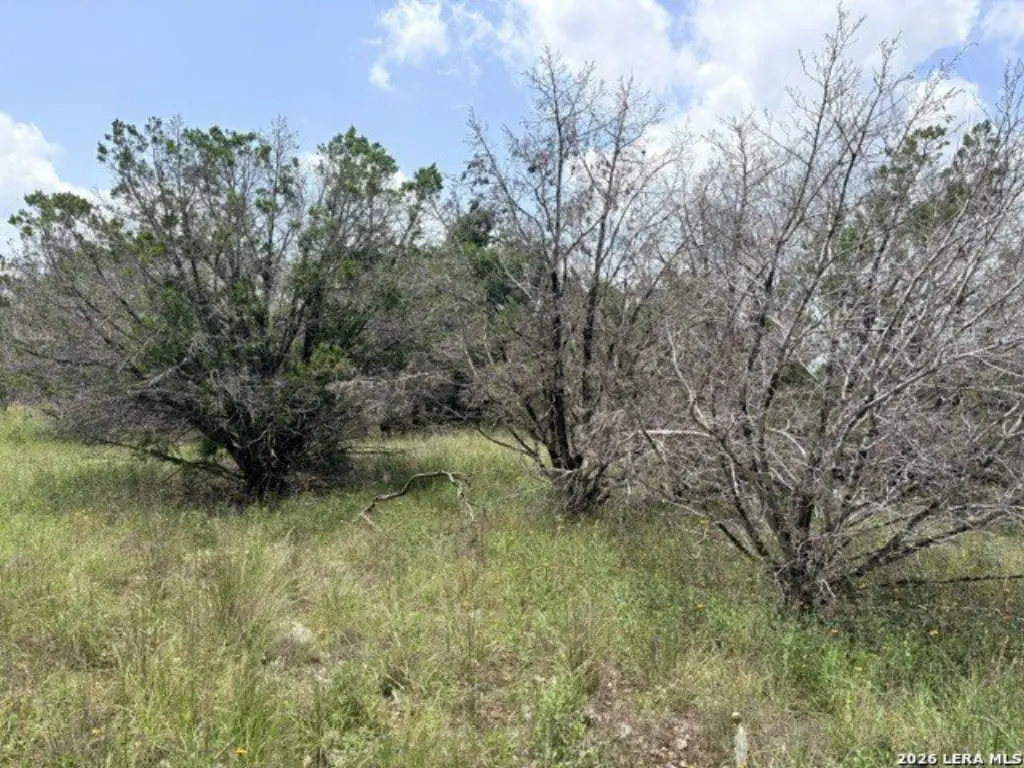 Picture 12