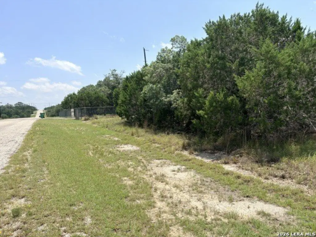 Picture 3