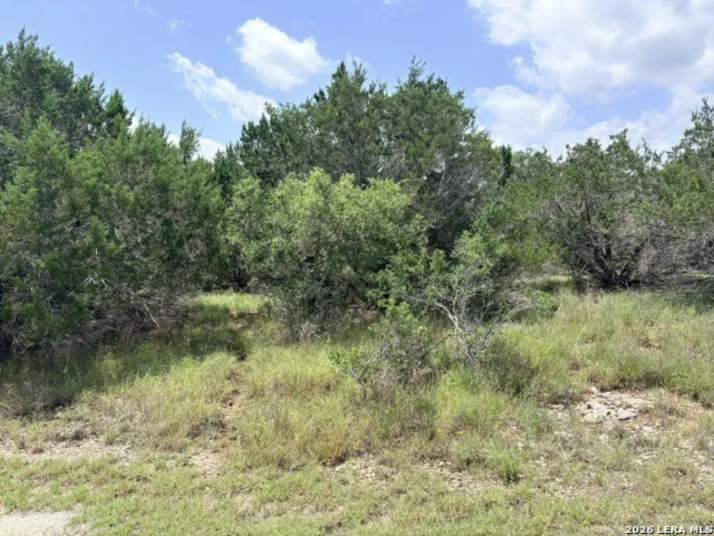 Picture 4