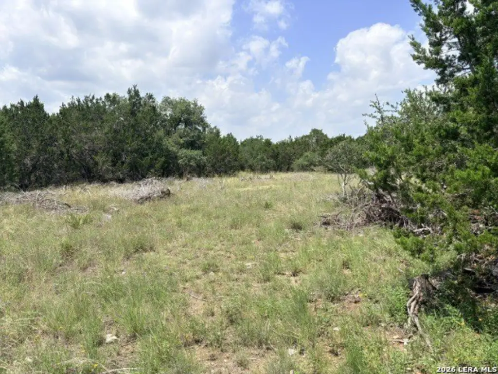 Picture 10