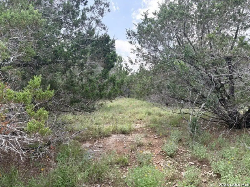Picture 15