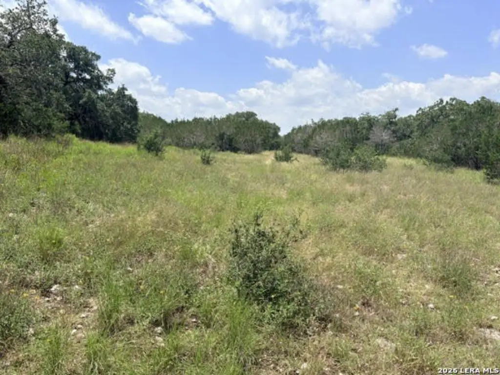 Picture 13