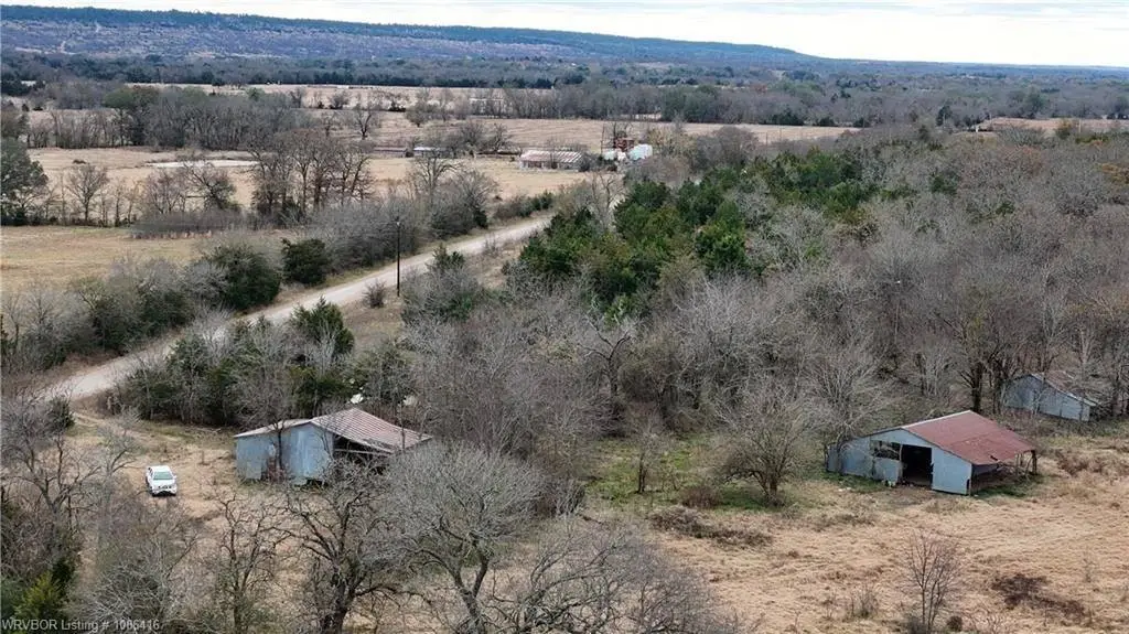 Picture 8
