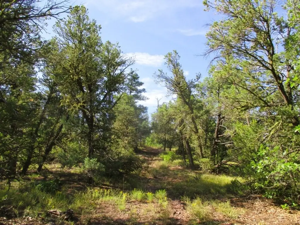 Picture 24