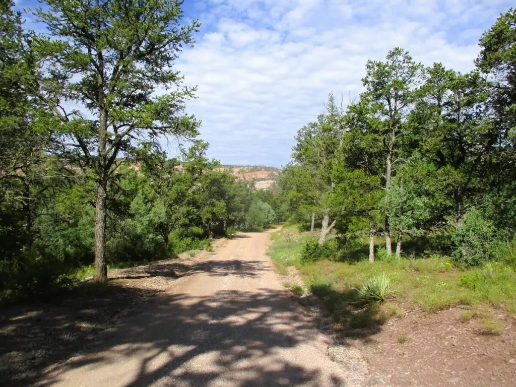 Picture 61