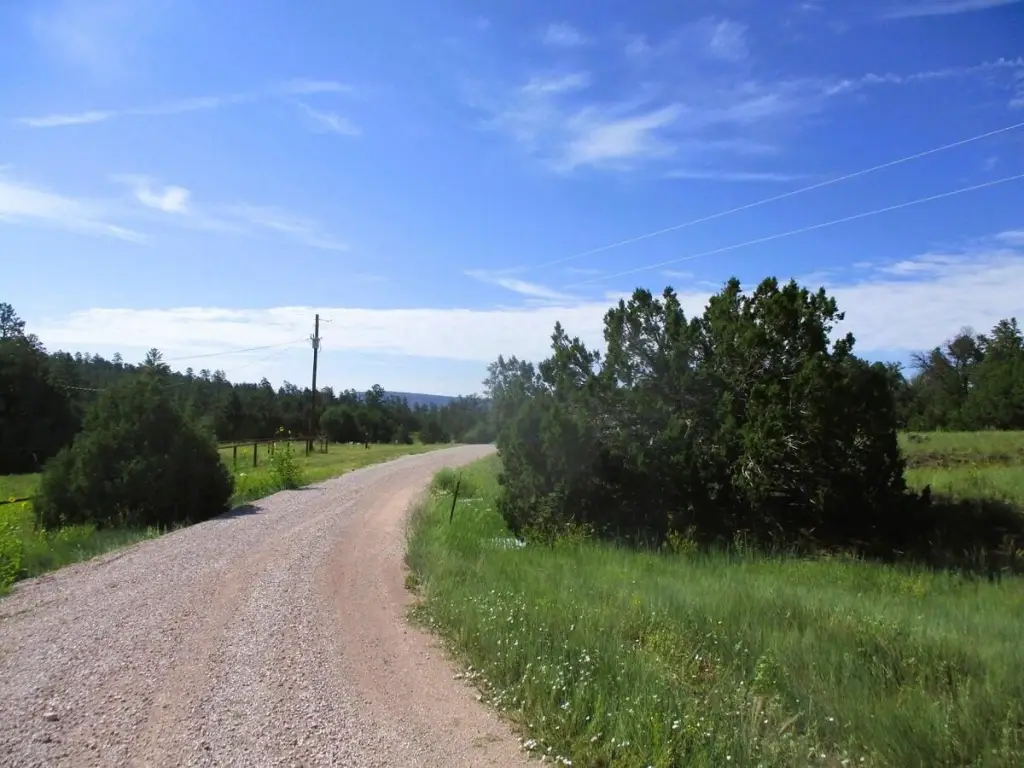 Picture 36