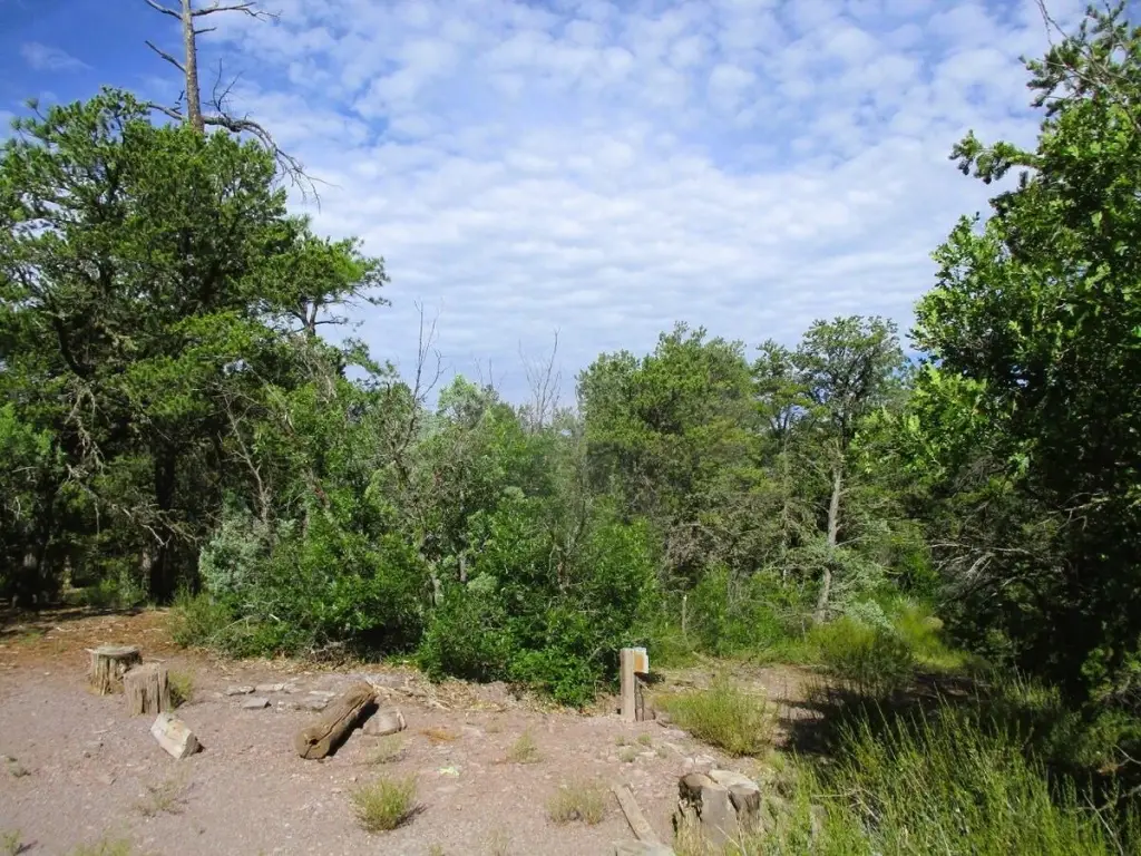 Picture 53