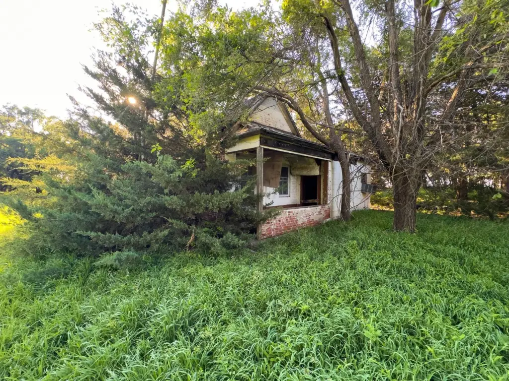 Picture 37
