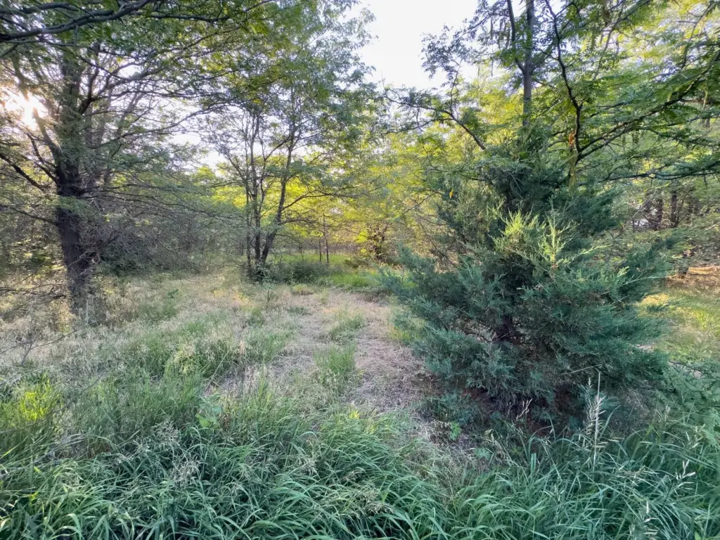 Picture 43