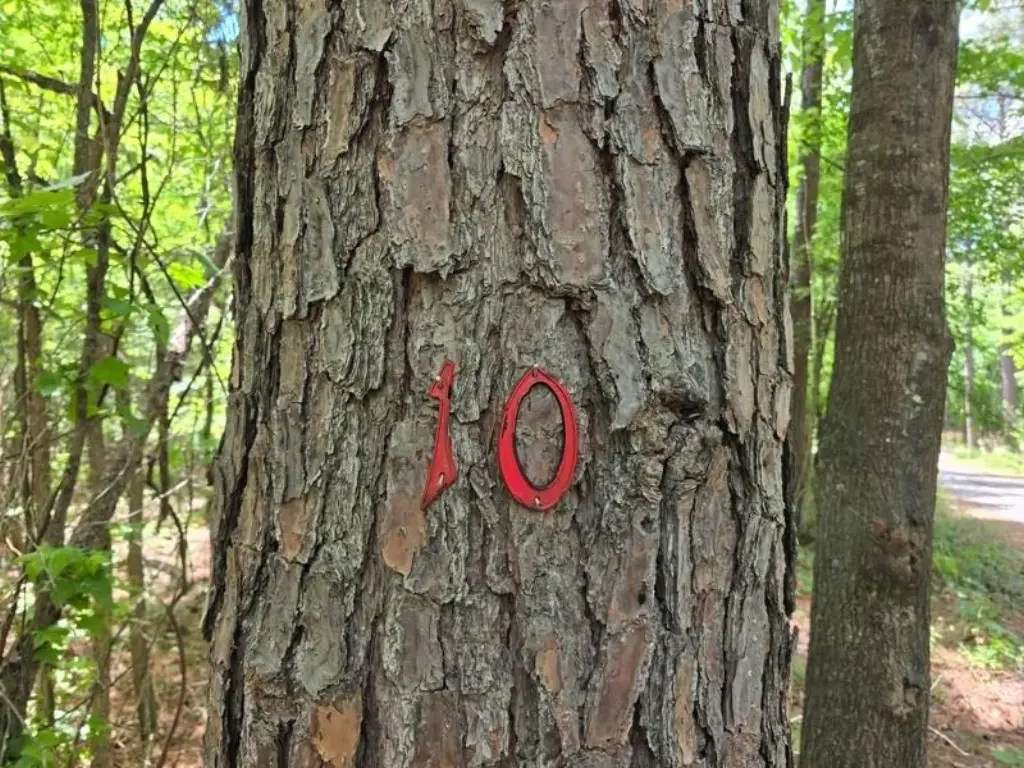 Picture 3