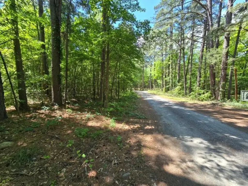 Picture 6