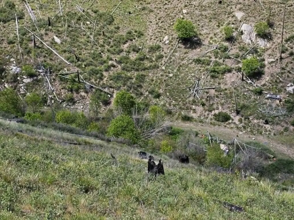 Picture 15