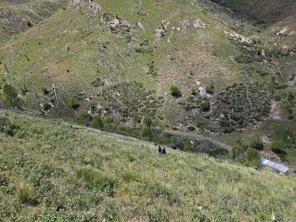 Picture 14